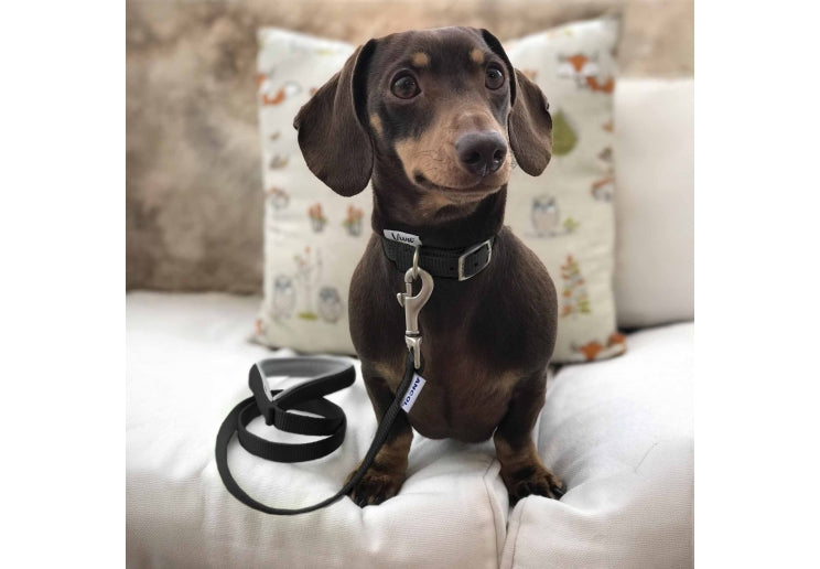 Ancol Viva Nylon Dog Collar Black