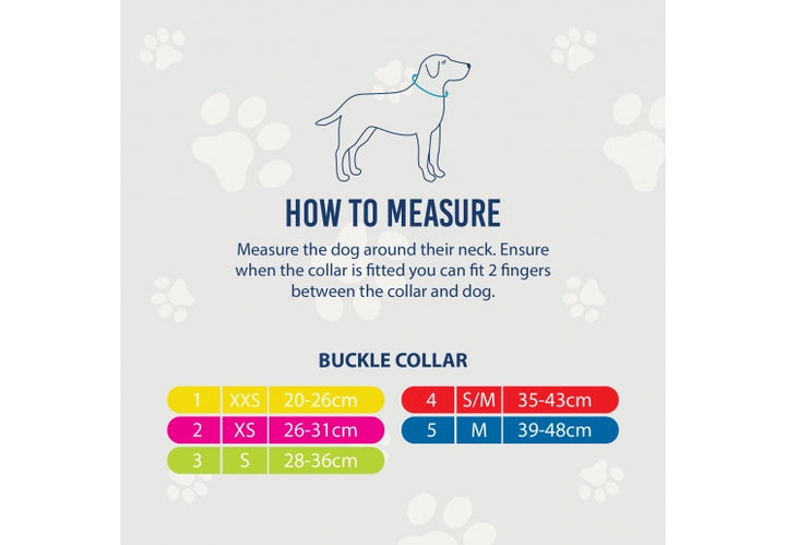 Ancol Viva Nylon Dog Collar Blue