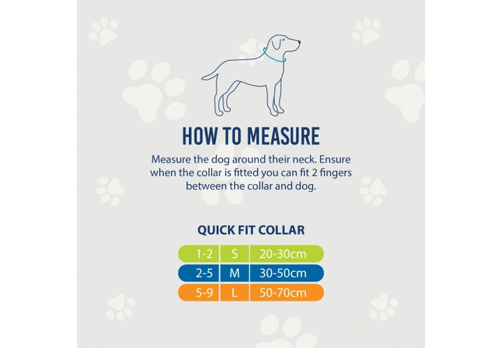 Ancol Viva Adjustable Collar Red