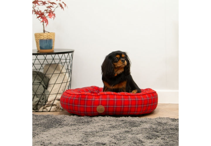 Small dog sitting on the Sleepy Paws red tartan donut bed in a living room