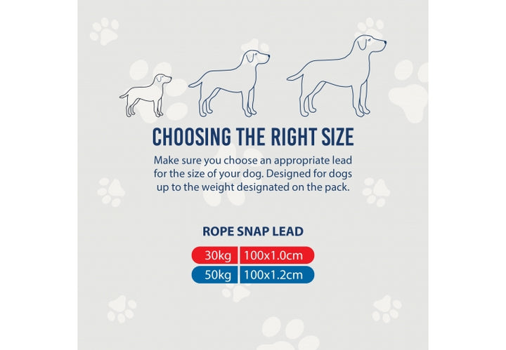 Ancol Viva Rope Snap Lead Reflective Blue