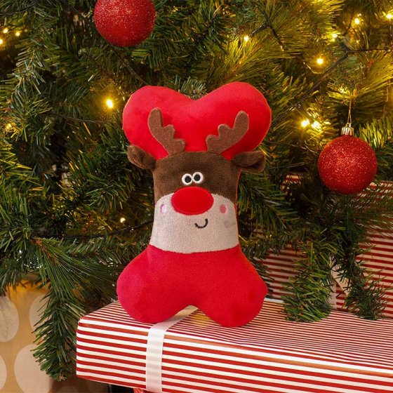 Squeaky RudyBone Dog Toy