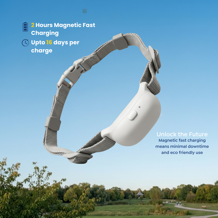 PawGuard T200 collar with 2 hour magnetic fast charging, up to 15 days per charge