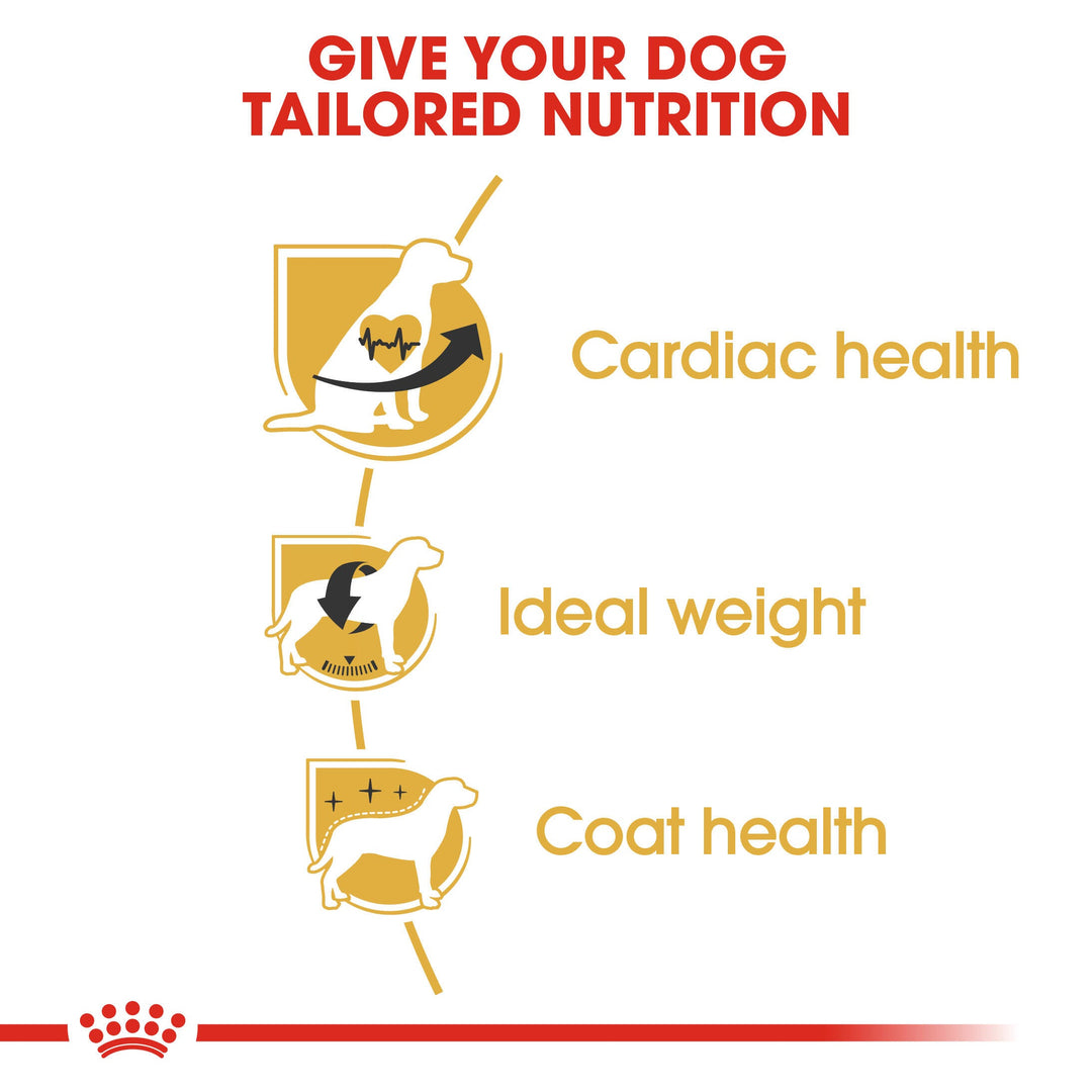 Royal Canin Cavalier King Charles Adult benefits: cardiac health, ideal weight, coat health