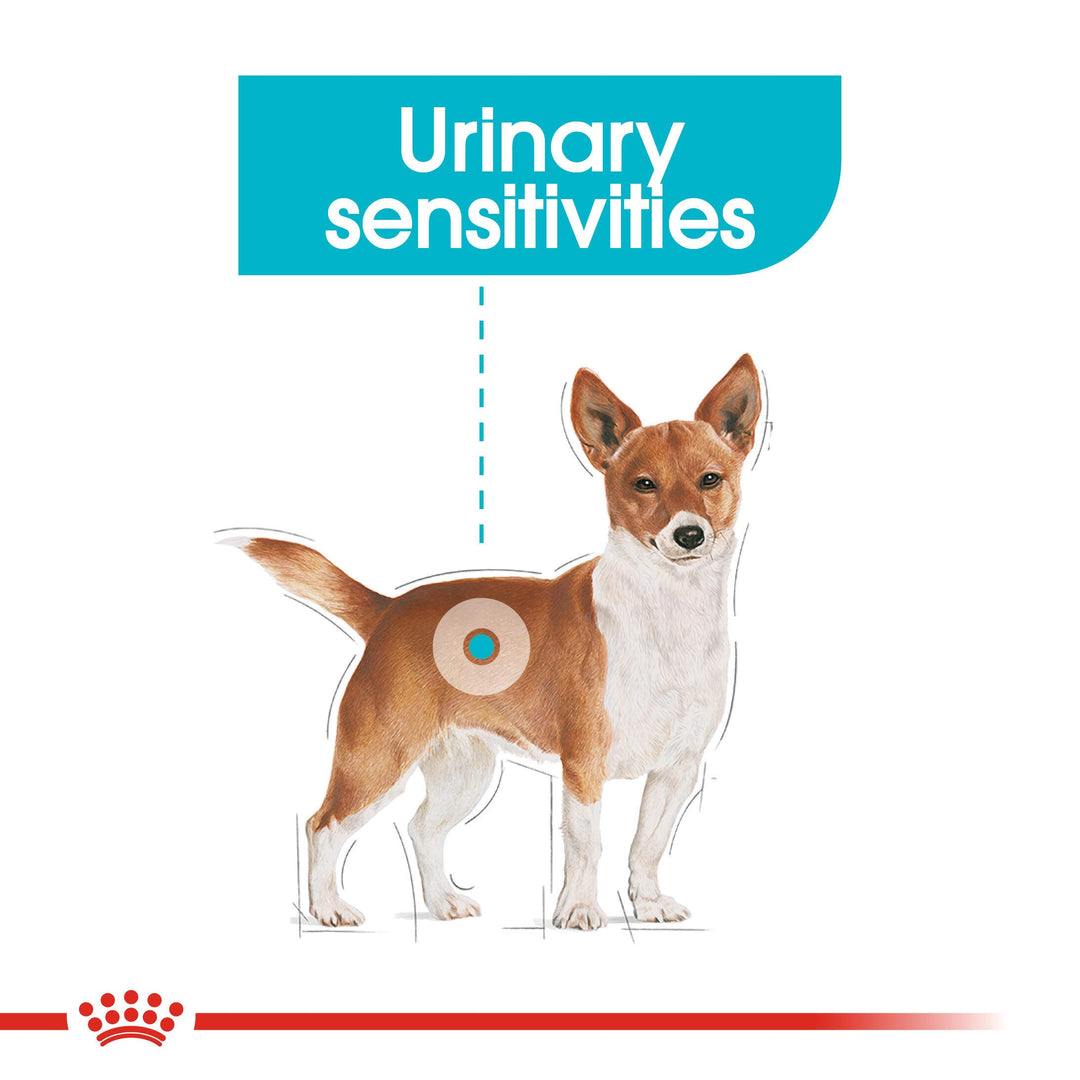 Small breed dog: Royal Canin Mini Urinary Care for dogs with urinary sensitivities