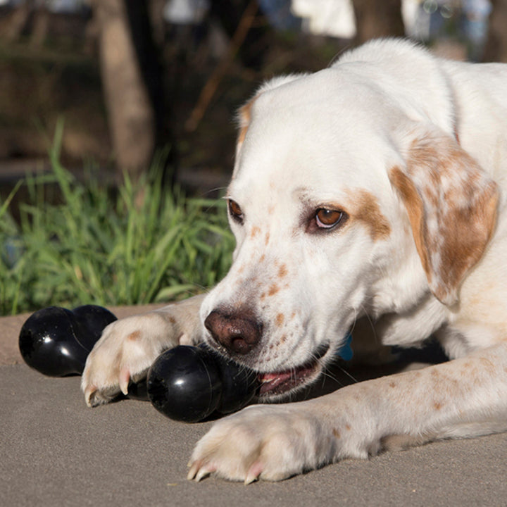 KONG Extreme Goodie Bone