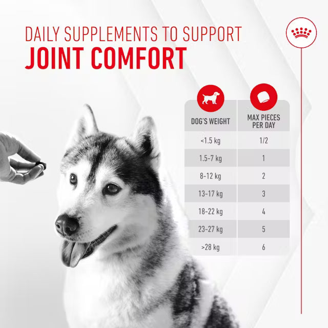 Royal Canin Joint & Ageing Supplements 240g