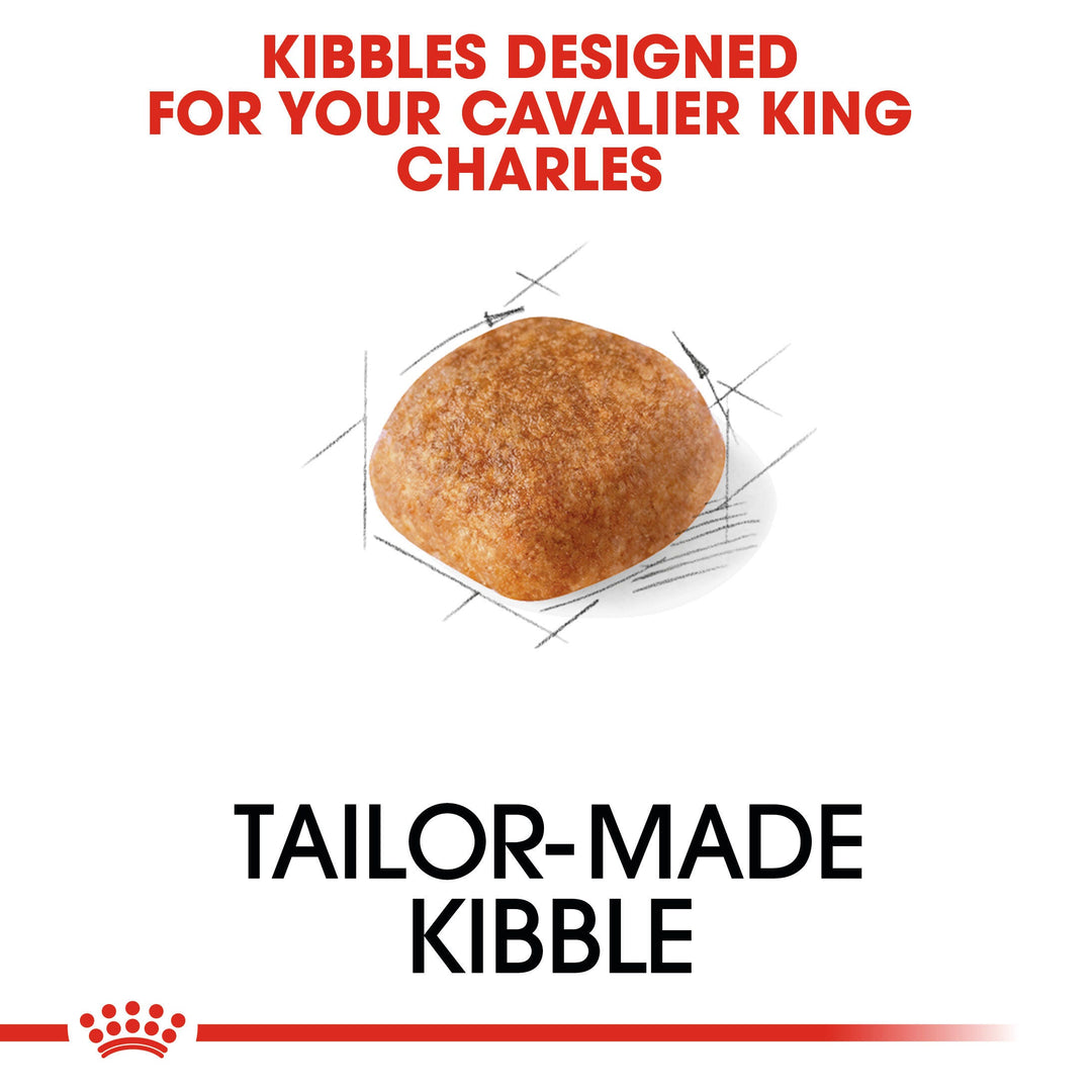 Royal Canin Cavalier King Charles Adult tailor made kibble