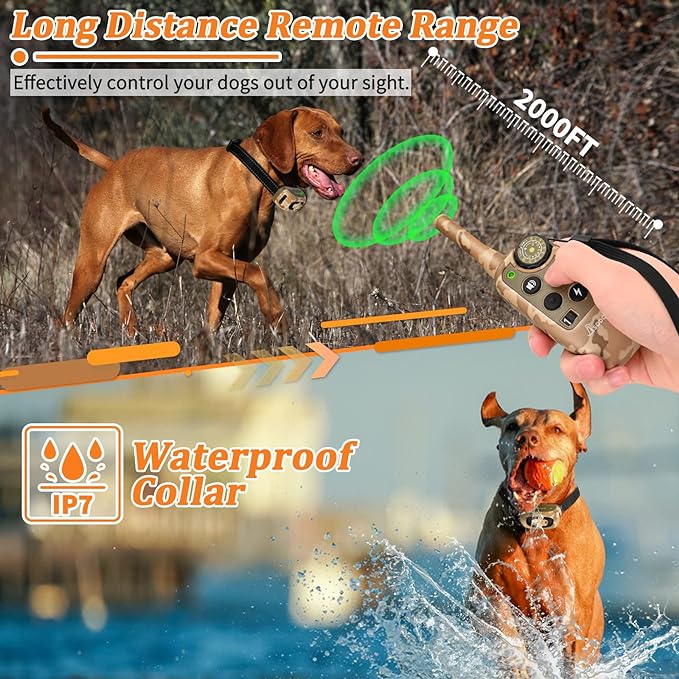 PawGuard T689 long distance remote range and IPX7 waterproof collar on a dog in water