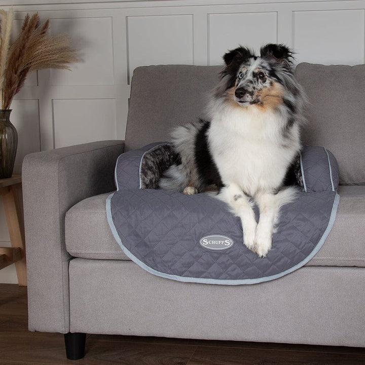 Scruffs Wilton Pet Sofa Bed