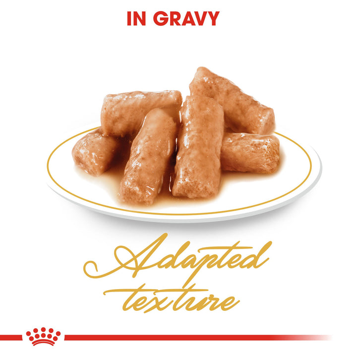 Royal Canin British Shorthair chunks in gravy on a plate, adapted texture