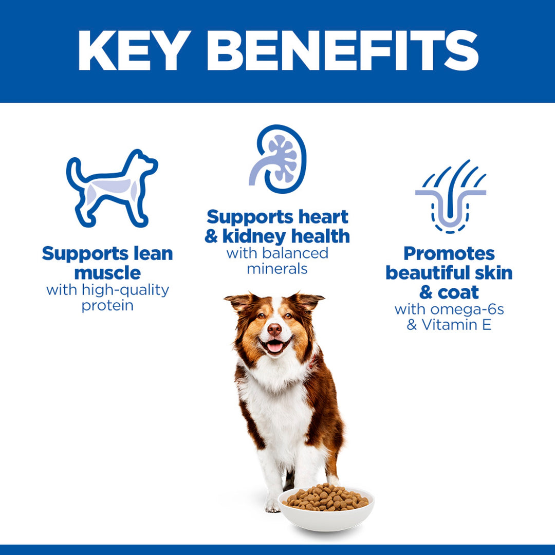 Hill's Science Plan Mature Adult 7+ Medium key benefits: lean muscle, heart and kidney health, skin and coat