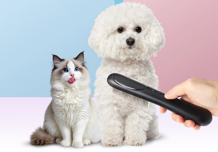 PawGuard PD166 flea comb charging and battery detail
