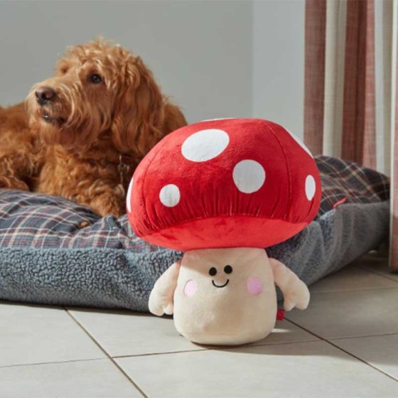 Shroom PlayPal - Large Dog Toy