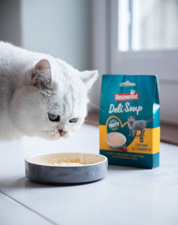Rosewood Cat Soup Chick & Cranberry 40g x4