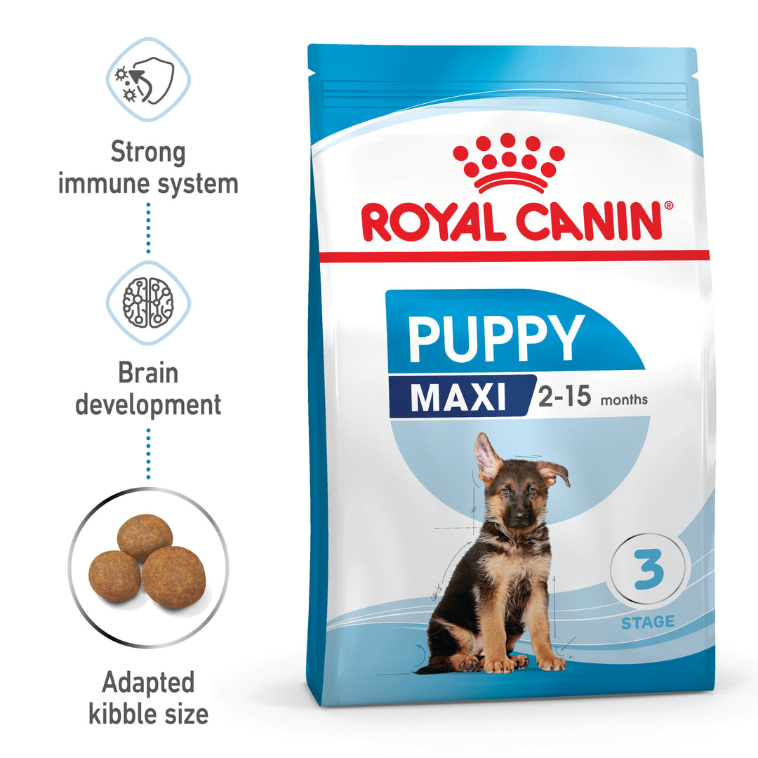Royal Canin Maxi Puppy benefits: strong immune system, brain development, with kibble