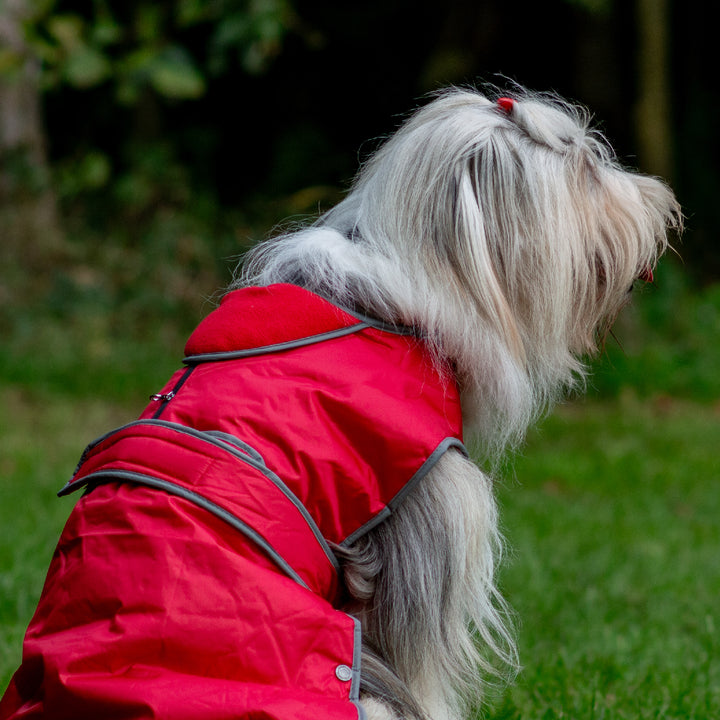 Ancol Stormguard dog coat red, back view showing reflective piping