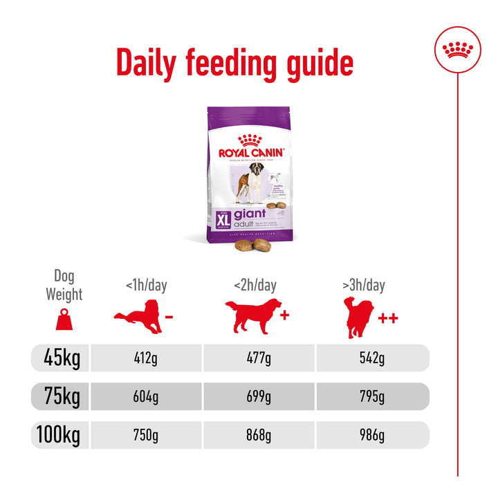 Royal Canin Giant Adult daily feeding guide for dogs 45kg to 100kg