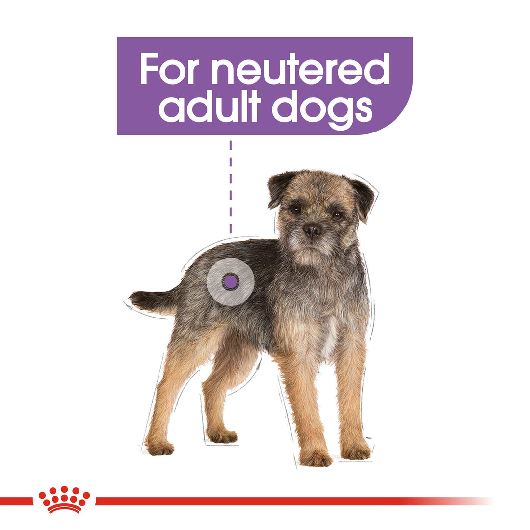 Royal Canin Mini Sterilised graphic: for neutered adult small dogs
