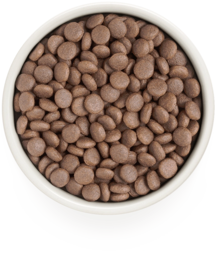 Grandorf White Fish Adult Medium and Maxi dry dog food kibble in a white bowl