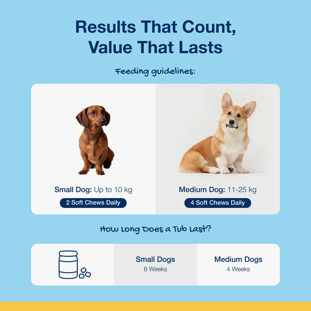 ProDen PlaqueOff Soft Chews for Dogs