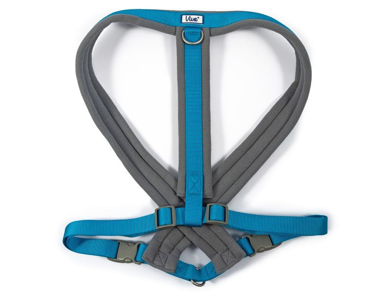 Ancol Viva Padded Harness Blue