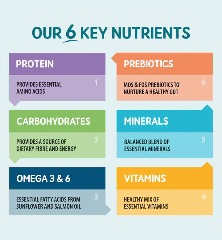 Naturo Adult Grain-Free Wet Dog Food – Turkey, Potato & Vegetables