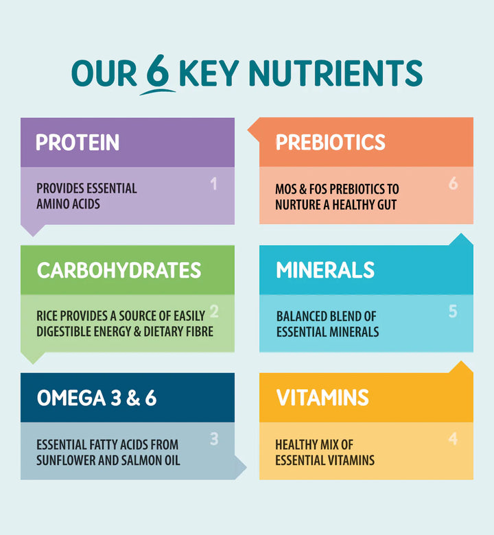 key nutrients with brief descriptions