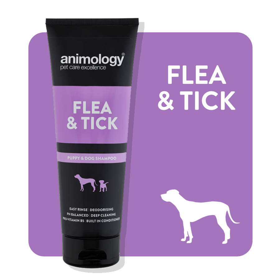 Animology Flea And Tick Shampoo 250ml
