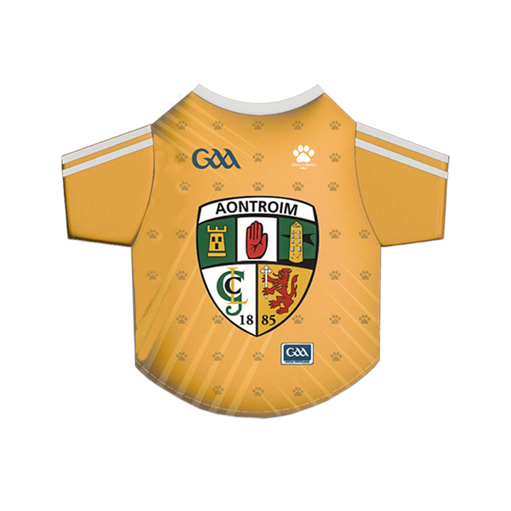 Antrim GAA Pet Jersey