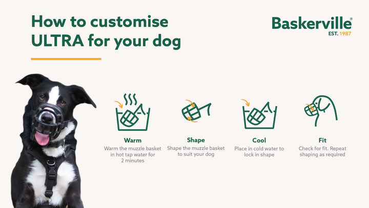 How to heat shape the Baskerville Ultra Muzzle: warm, shape, cool and fit
