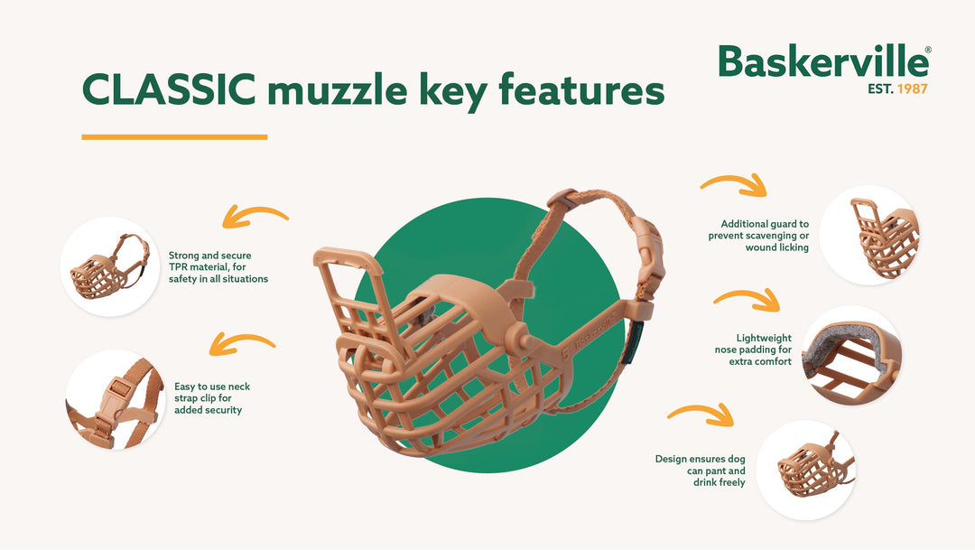 Baskerville Classic Muzzle key features: TPR basket, neck strap clip, padded nose, anti scavenging guard