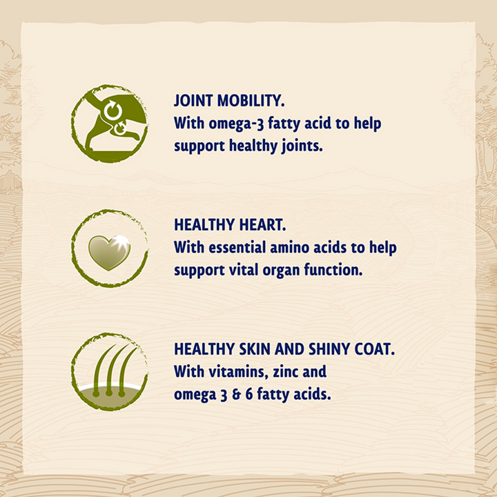 Beta Adult Large Breed Turkey benefits: joint mobility with omega 3, healthy heart, healthy skin and shiny coat