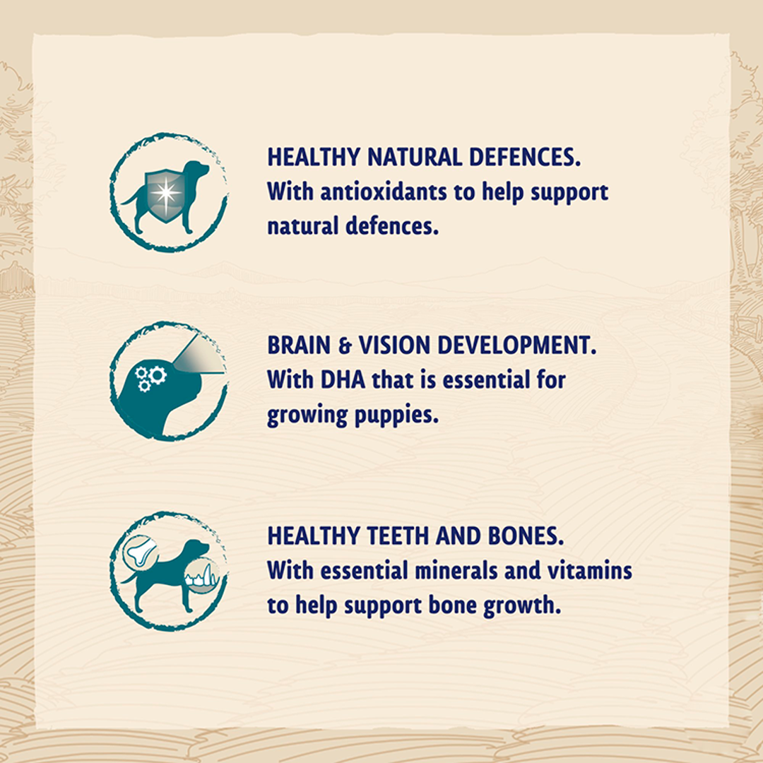 BETA Puppy Chicken benefits: healthy natural defences, brain and vision development, healthy teeth and bones