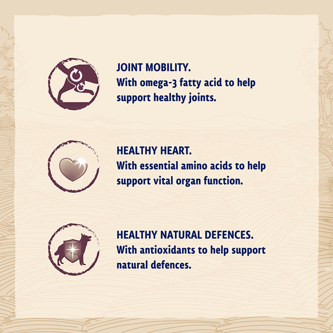 Beta Senior benefits: joint mobility with omega 3, healthy heart with amino acids, natural defences with antioxidants