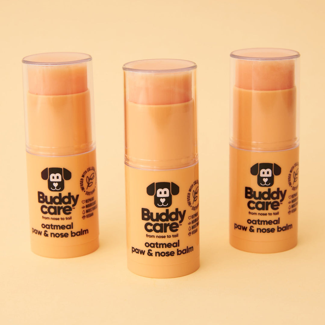 Three Buddycare Oatmeal Paw & Nose Balm sticks, 21g