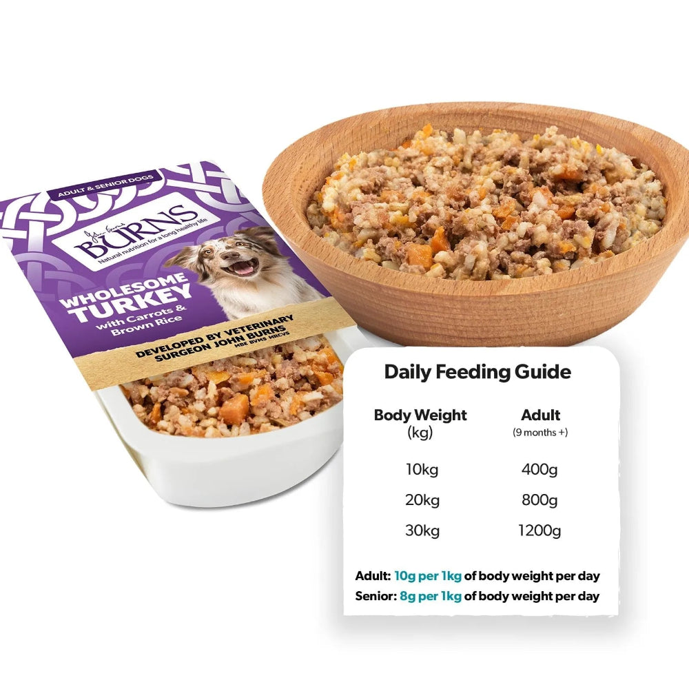 Burns Wet Dog Wholesome Turkey Feeding Guide