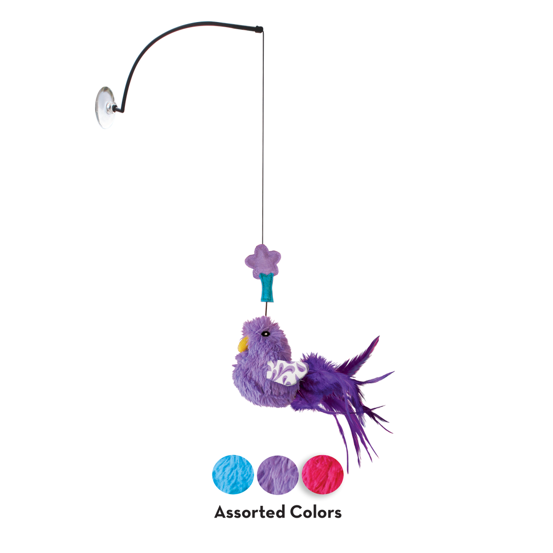 KONG Connects Window Teaser