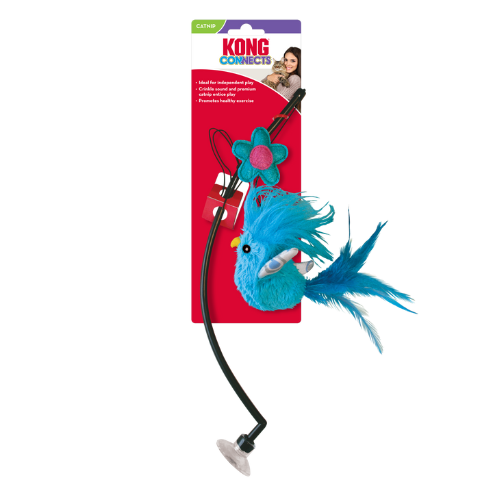 KONG Connects Window Teaser