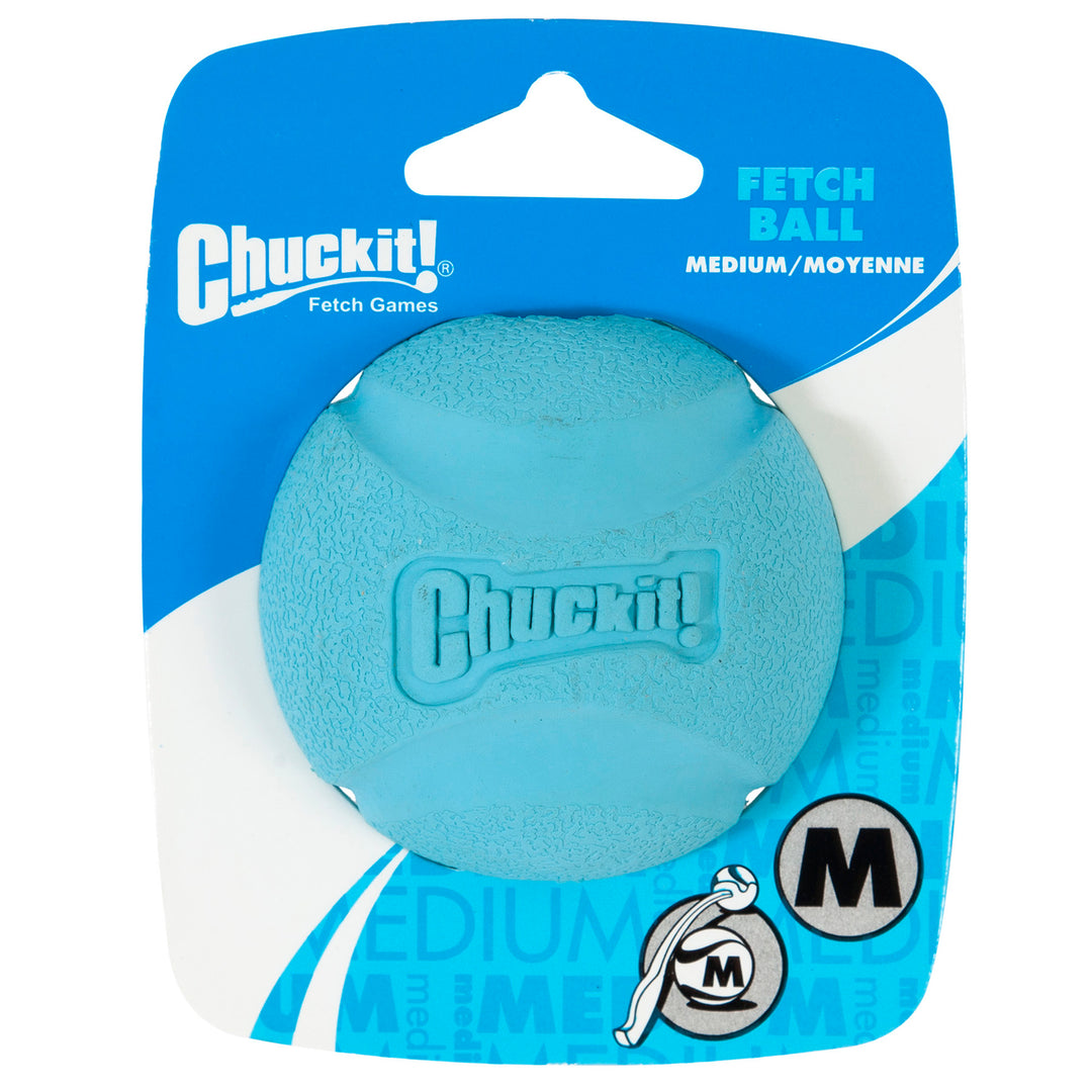 Chuckit! Fetch Ball Medium Dog Toy
