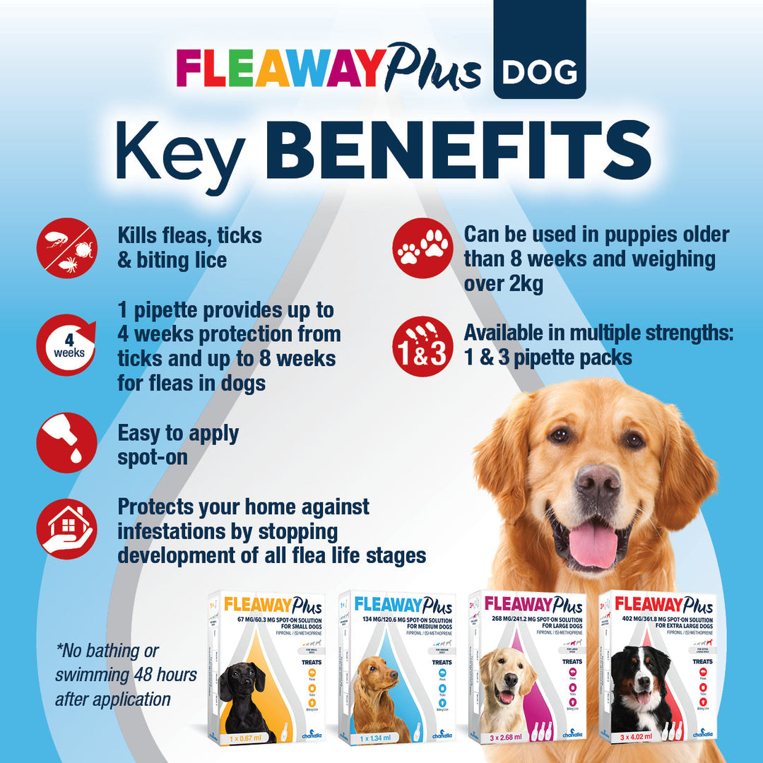 Fleaway Plus Dog key benefits: kills fleas, ticks and biting lice, up to 8 weeks flea and 4 weeks tick protection, for puppies over 8 weeks and 2kg
