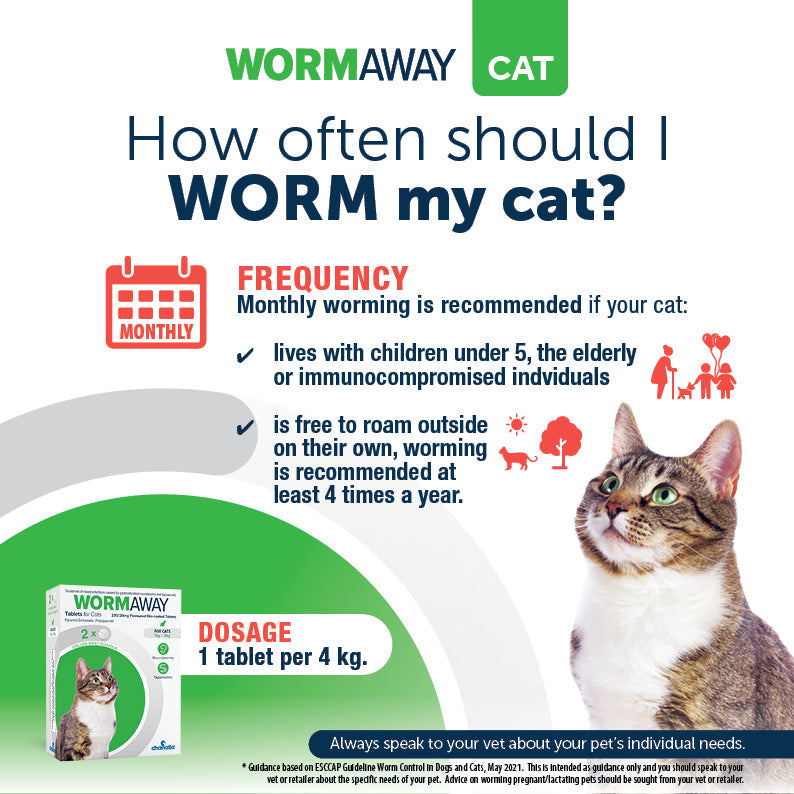 Wormaway for Cats guide on how often to worm your cat