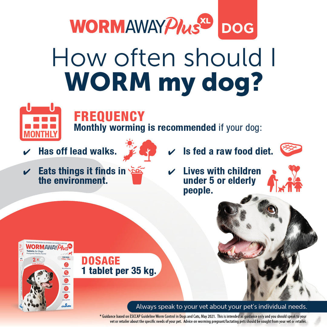 How often should I worm my dog: Wormaway Plus XL, monthly worming recommended for dogs on off lead walks, raw fed, scavenging or living with young children or elderly people. Dosage 1 tablet per 35kg