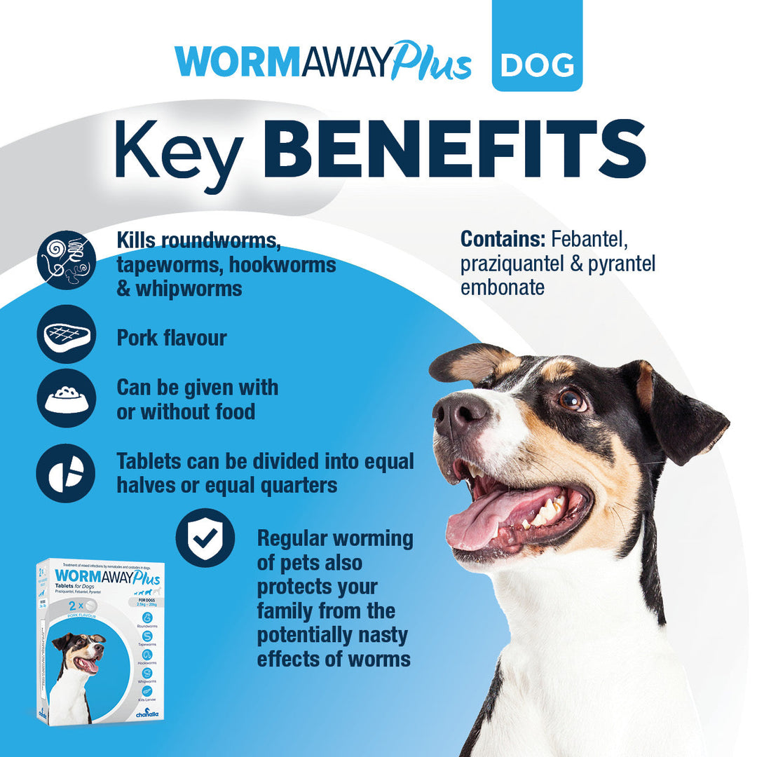 Wormaway Plus for dogs key benefits: kills roundworms, tapeworms, hookworms and whipworms, pork flavour, can be given with or without food, tablets divide into halves or quarters