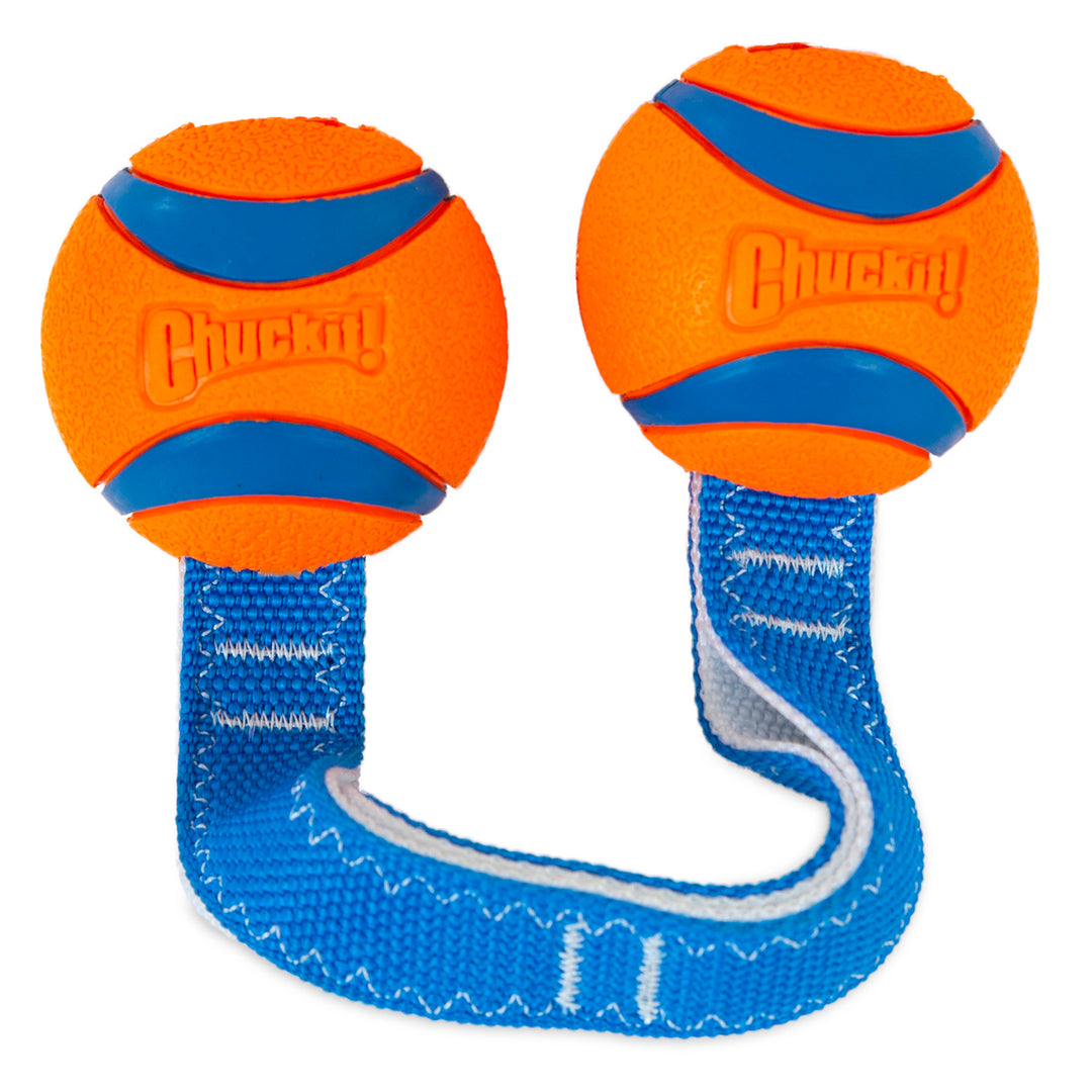 Chuckit! Ultra Duo Tug Medium Interactive Dog Toy