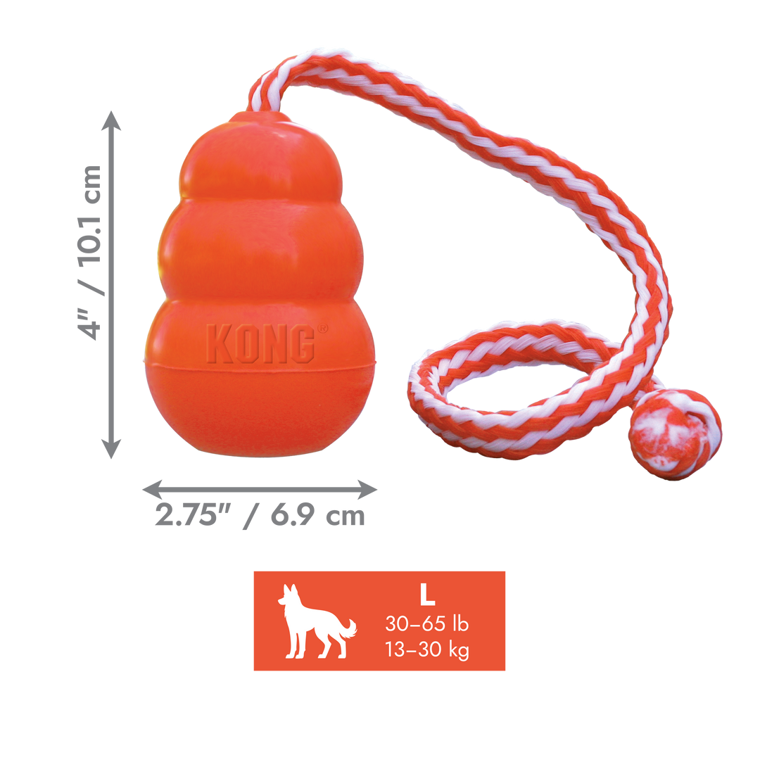 KONG Aqua  Large
