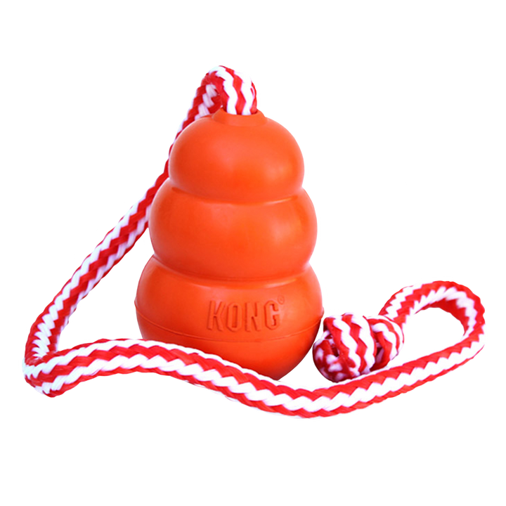 KONG Aqua  Large