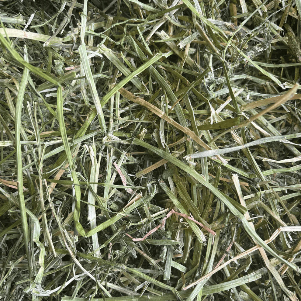 Coarse & Crunchy Alfalfa Hay 1kg