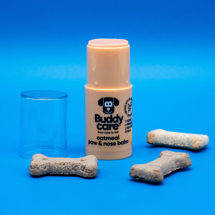 Buddycare Oatmeal Paw & Nose Balm 21g stick with lid off, beside dog biscuits