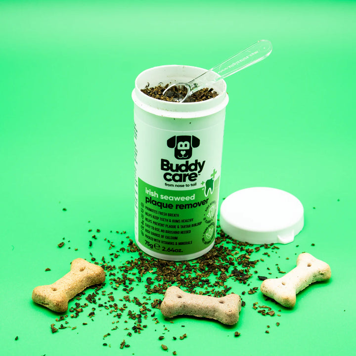 Buddycare Irish Seaweed Plaque Remover 75ml